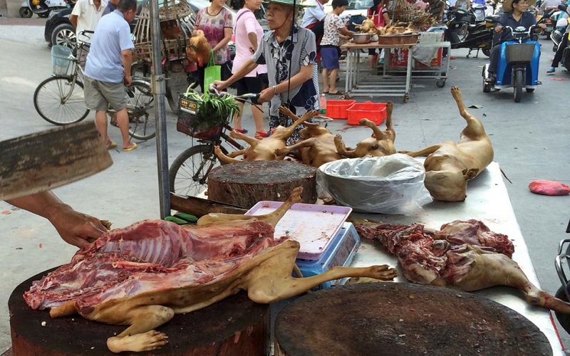 A vendor chops dog meats for sale at a market ahead of a dog meat festival in Yulin in south China's Guangxi Zhuang Autonomous Region, Monday, June 20, 2016. Restaurateurs in a southern Chinese town will holding an annual dog meat festival which fall on June 21, the day of summer solstice despite international criticism. (AP Photo/Andy Wong)