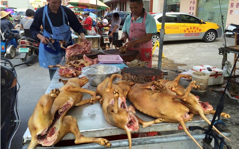 Vendors chop dog meats on their stall for sale at a market ahead of a dog meat festival in Yulin in south China's Guangxi Zhuang Autonomous Region, Monday, June 20, 2016. Restaurateurs in a southern Chinese town will holding an annual dog meat festival which fall on June 21, the day of summer solstice despite international criticism. (AP Photo/Andy Wong)