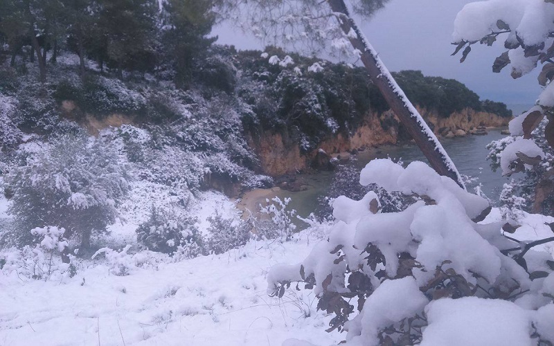 Χιόνια μέχρι την θάλασσα στα Παλιάμπελα Αιτωλοακαρνανίας